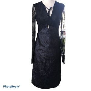 NWT LIN Edition Limit Sheer Lace and Velvet Dress